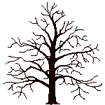 arbre animé site fab généalogie